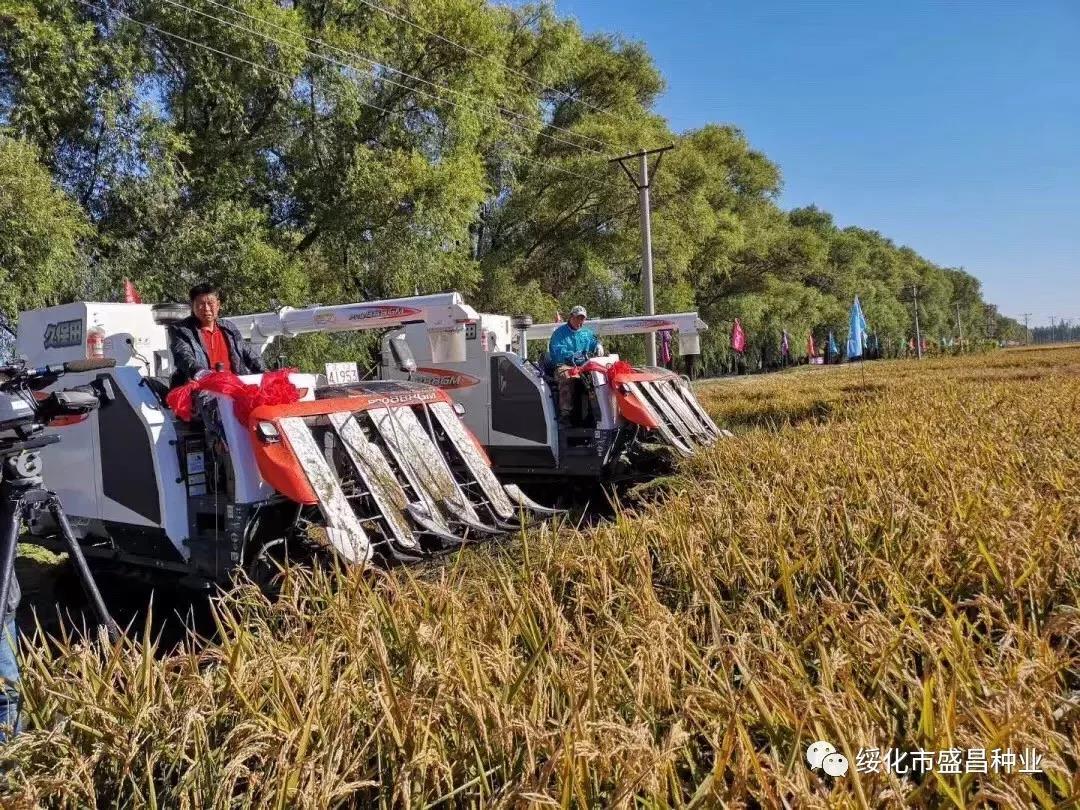 1539078103735552.jpg 微信图片_20181009174020.jpg