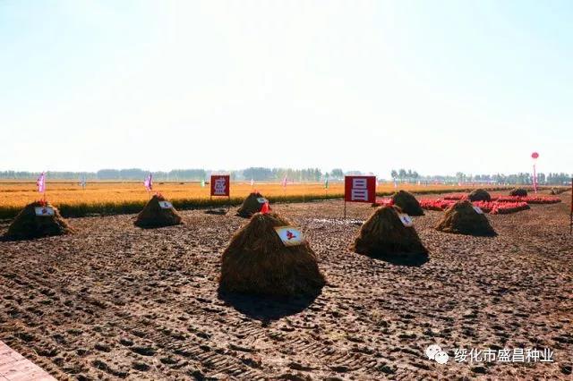 1539078205647486.jpg 微信图片_20181009174055.jpg