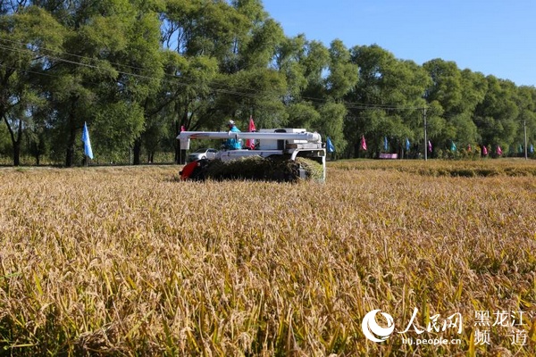 1539420330490640.jpg 微信图片_20181013164656.jpg