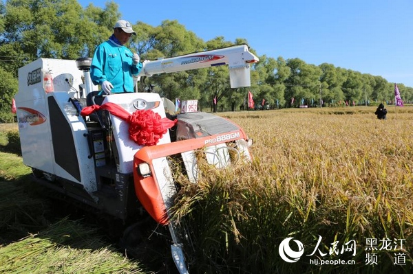 1539420341141716.jpg 微信图片_20181013164709.jpg