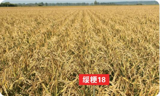 QQ截图20201112142512.jpg