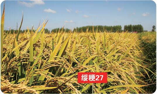 QQ截图20201112142607.jpg