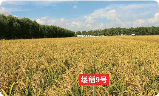 QQ截图20201112142715.jpg