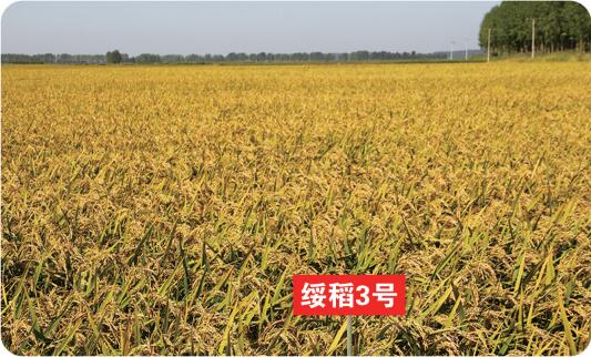 QQ截图20201112142634.jpg